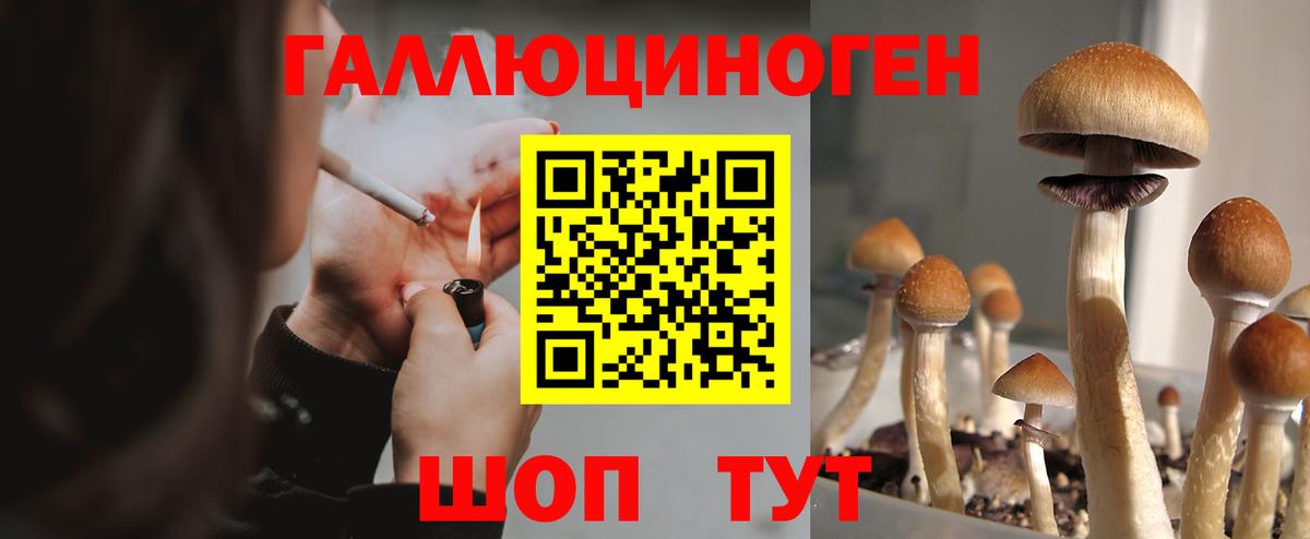 Псилоцибиновые грибы MAGIC MUSHROOMS  Псилоцибиновые грибы мухоморы  Сертолово  Вход с VPN 